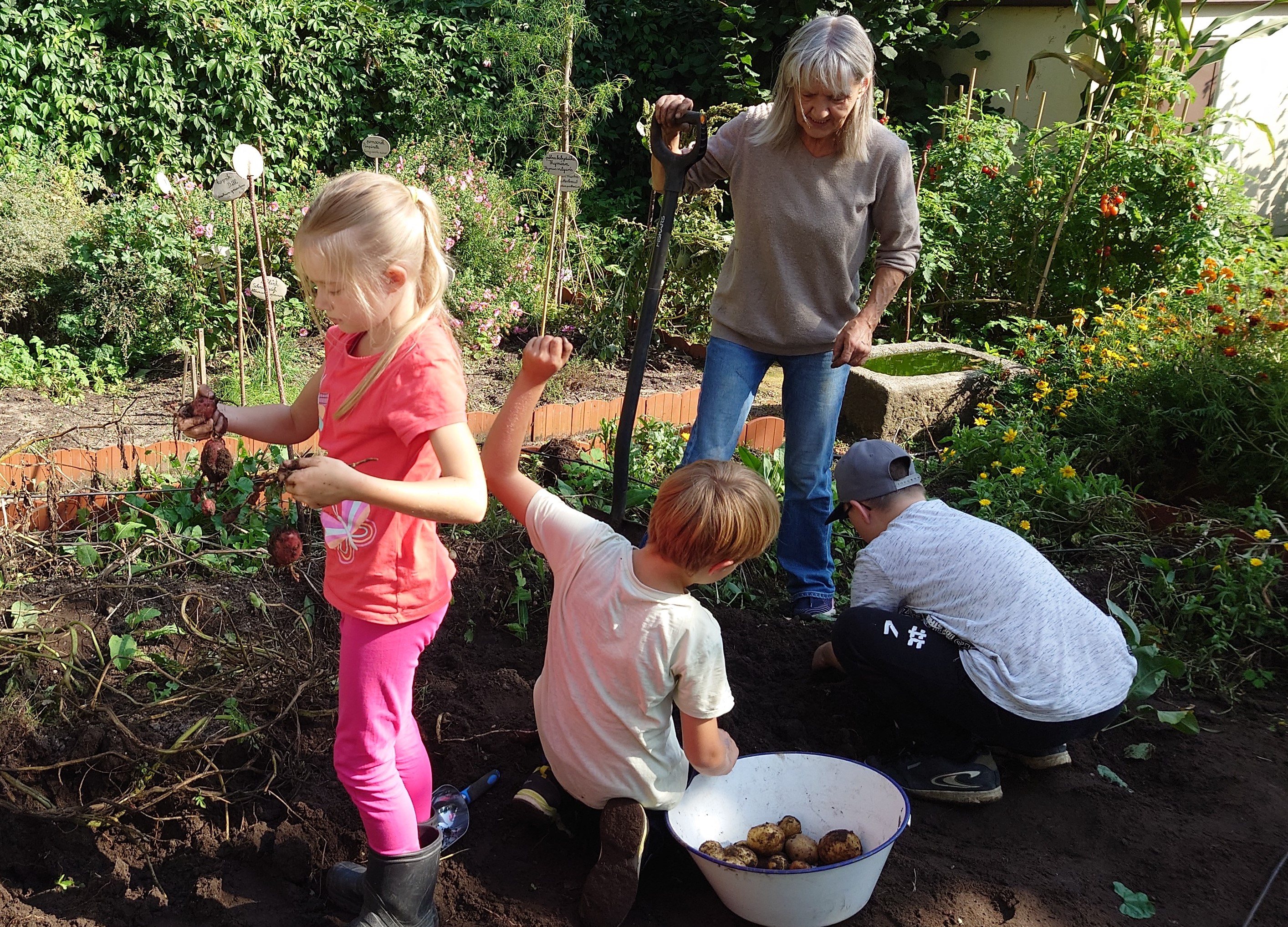 Gartenprojekt